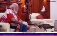 PM Modi Shares Video Of His Bond With Peacocks