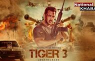 Tauktae Cyclone: सलमान खान की फिल्म ‘टाइगर 3’ पर तूफान का असर, कई और फिल्मों के सेट्स तबाह