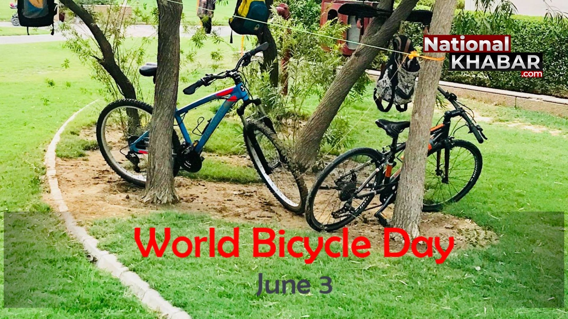 World Cycle Day: सस्ता परिवहन साधन ही नहीं, स्वस्थ रखने का जरिया भी है; इसलिए साइकिल को समर्पित है 3 जून की तारीख