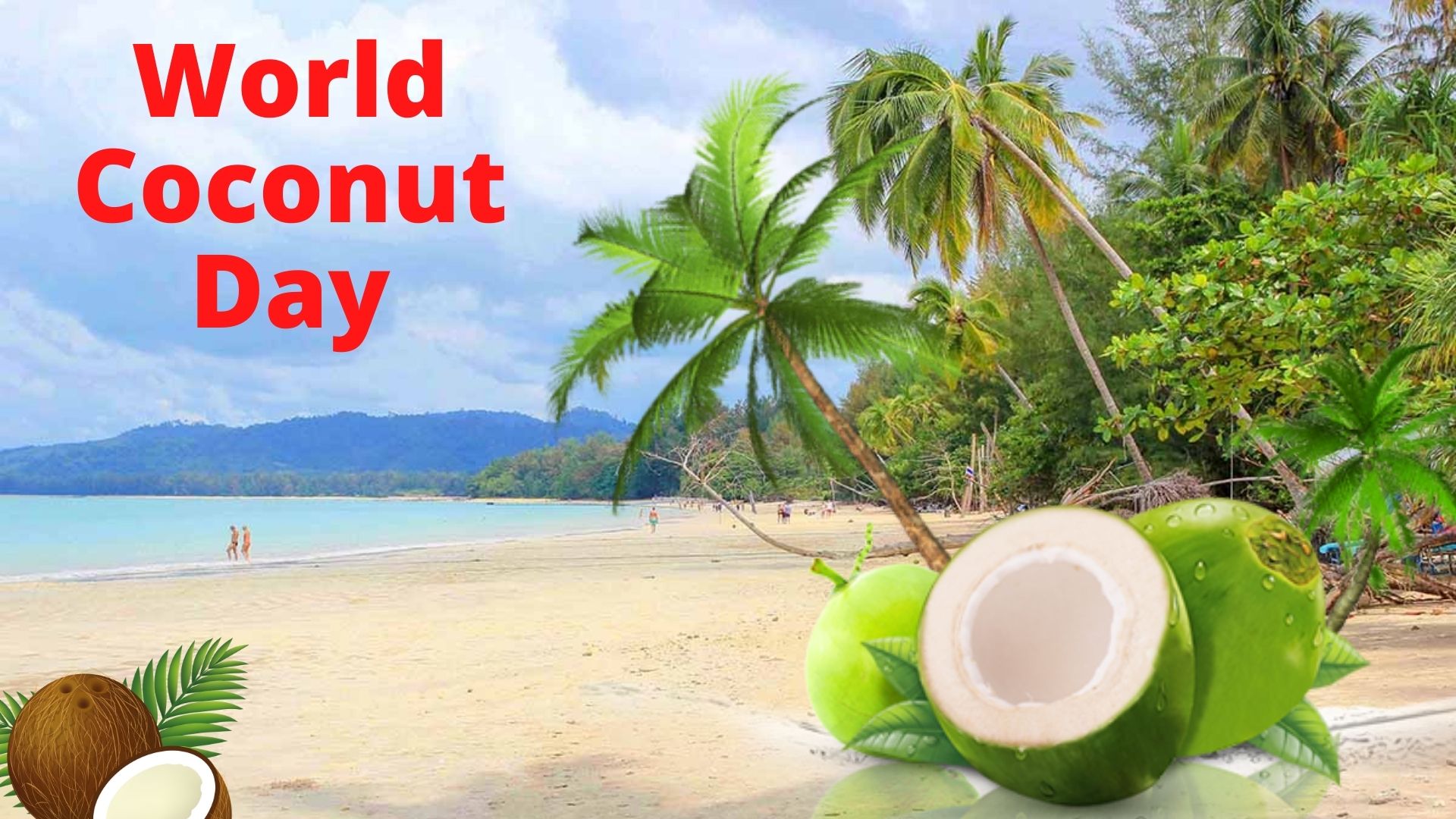 2 सितंबर यानि विश्व नारियल दिवस, क्यों मनाया जाता है ये दिन?