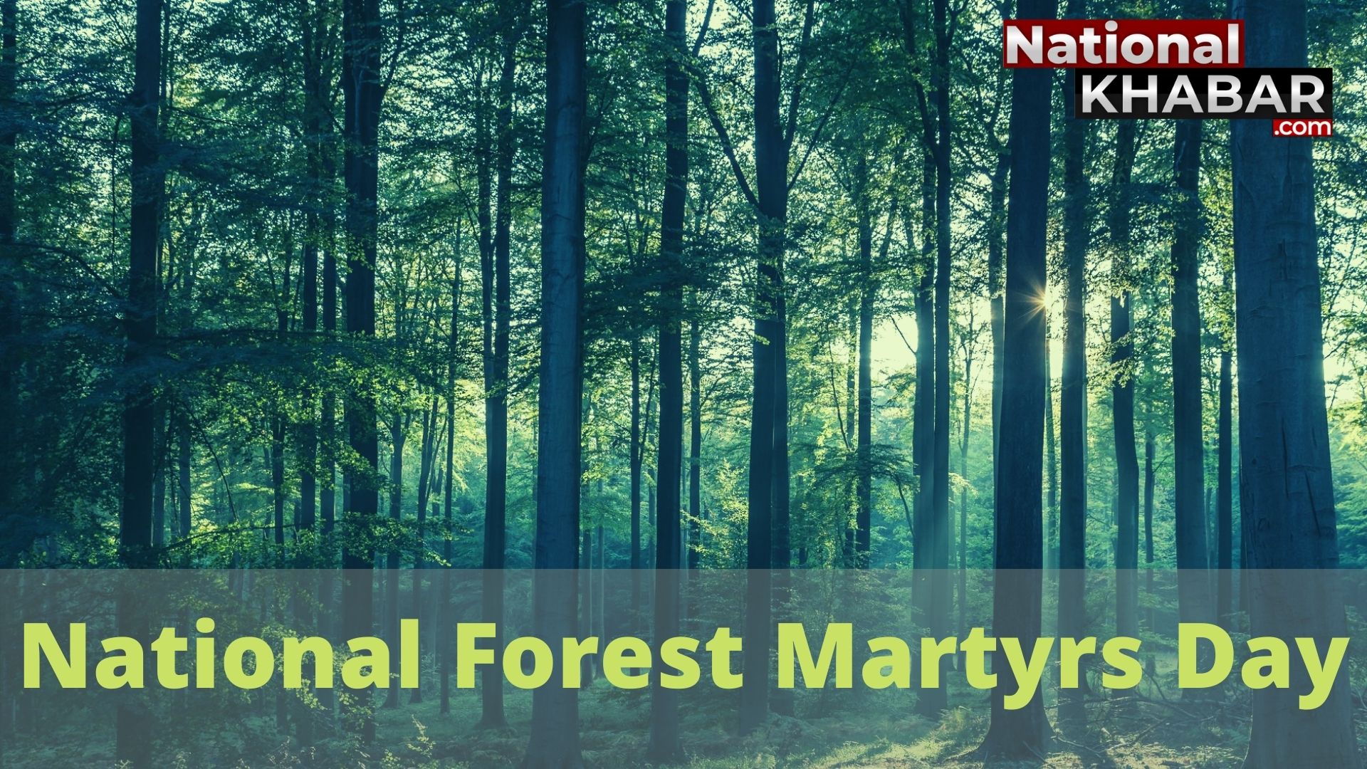 National Forest Martyrs Day: सैनिक से कम नहीं, घरों से दूर जंगलों में बसर करने वाले वनकर्मी, वन और वन्यजीवों के संरक्षण में तैनात हर वनकर्मी को सलाम