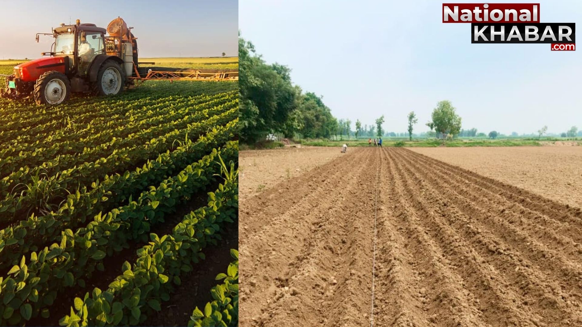 Farmers Root: किसानों को, आधुनिक खेती से जोड़ता “फार्मर्स रूट”