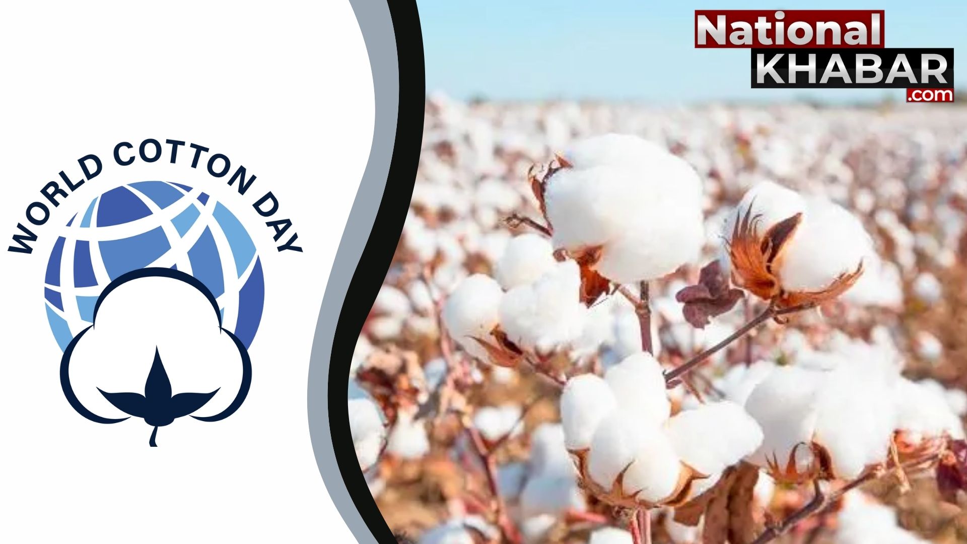 7 अक्टूब यानि World Cotton Day,  जानिए क्यों मनाया जाता है विश्व कपास दिवस
