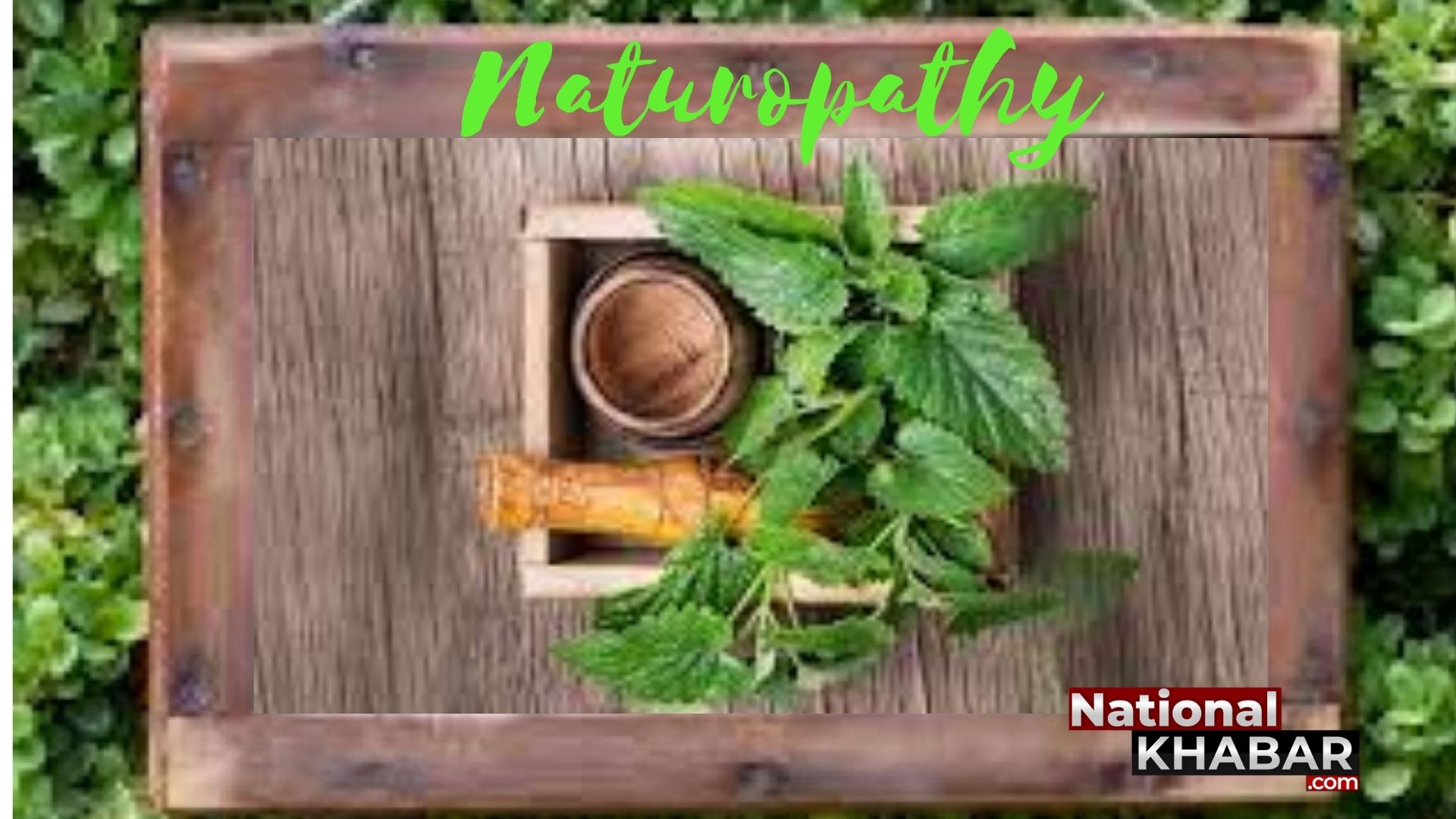 Naturopathy Day यानि प्राकृतिक चिकित्सा दिवस क्या है प्राकृतिक चिकित्सा पद्धति, किसने बनाया इसे भारत में लोकप्रिय?